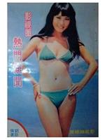 陈维英