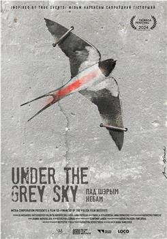Under the Grey Sky在线观看和下载