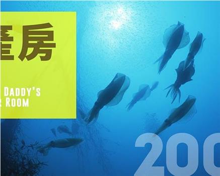 产房在线观看和下载