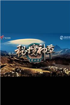 秘境神草 第四季在线观看和下载