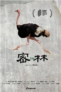 密林在线观看和下载