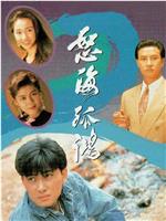 怒海孤鸿