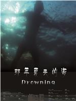 那年夏天的海