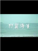 羽翼海洋