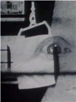 视神经