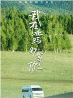 我在北纬47°等你