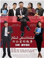 办公室的趣事